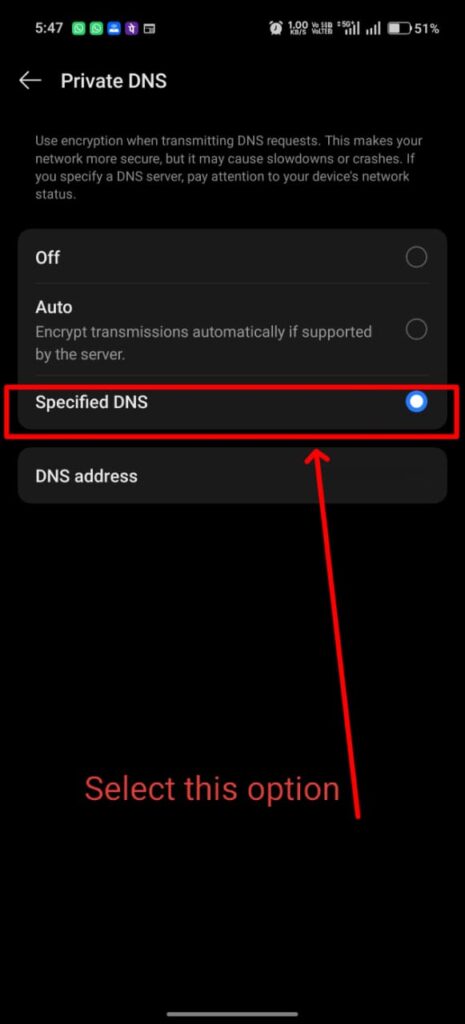 Select Specified DNS